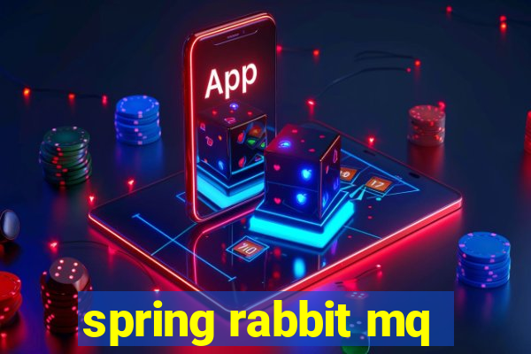 spring rabbit mq